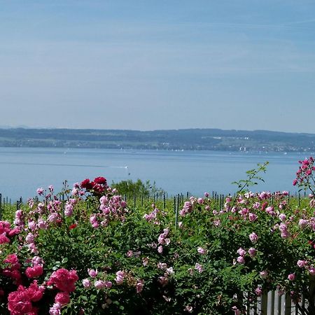 Abc Ferienwohnungen Abc Wohnung A Meersburg Kültér fotó