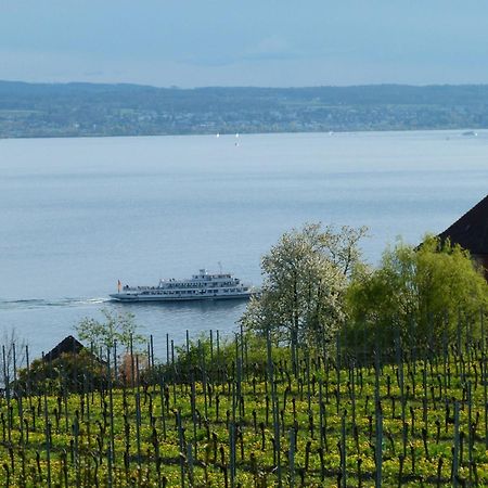 Abc Ferienwohnungen Abc Wohnung A Meersburg Kültér fotó