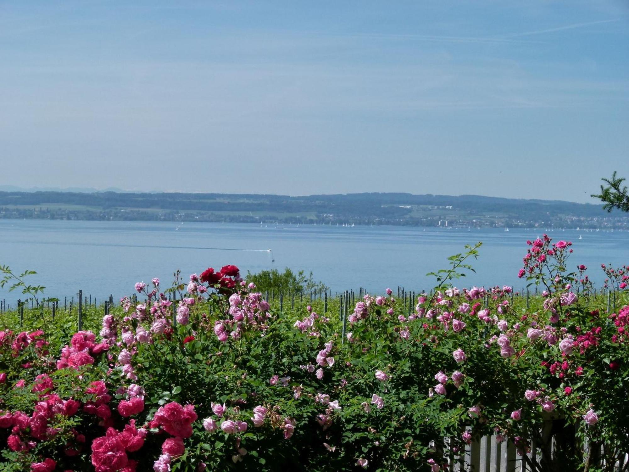 Abc Ferienwohnungen Abc Wohnung A Meersburg Kültér fotó